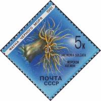 (1991-002) Марка СССР "Морской анемон"   Фауна Чёрного моря III Θ