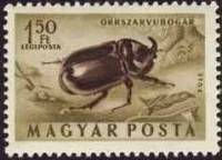 (1954-86) Марка Венгрия "Жук-носорог"    Насекомые III Θ