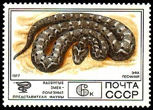 1977-101  Квартблок СССР Эфа песчаная  Фауна III O