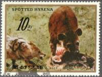 (1984-075) Марка Северная Корея "Пятнистая гиена"   Животные III Θ