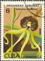 (1980-032) Марка Куба "Тростниковый эпидендрум"    Орхидеи II Θ
