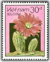 (1987-107a) Марка Вьетнам "Цветущий кактус (6)"  Без перфорации  Кактусы III O