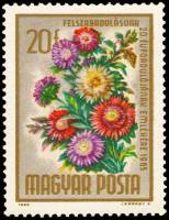 (1965-024) Марка Венгрия "Каллистефус"    20-я годовщина освобождения. Букеты цветов I Θ
