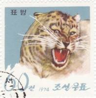 (1974-041) Марка Северная Корея "Леопард"   Зоопарк Пхеньяна III Θ