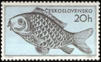 (1955-036) Марка Чехословакия "Рыба"    Фауна II Θ