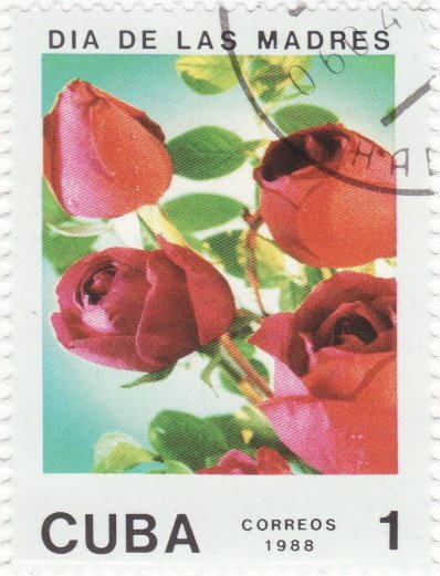(1988-018) Марка Куба &quot;Розы красные&quot;    Цветы II Θ