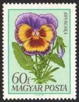 (1968-077) Марка Венгрия "Фиалка Виттрока"    Садовые цветы II Θ