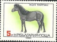 (1980-100) Марка Болгария "Дикая лошадь"   Породы лошадей III Θ