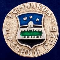 29449\132004 Значок "Темников"