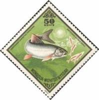 (1975-047) Марка Монголия "Сиг"    Промысловые рыбы III Θ
