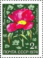 (1974-101) Марка СССР "Пион средний"    Цветы альпийских лугов Средней Азии III Θ