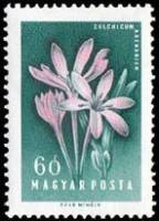(1958-053) Марка Венгрия "Безвременник"    Цветы II Θ