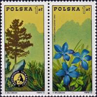 (1975-018-019) Сцепка марок (2 м) Польша "Сосна, Татры"    100-летие Организации горных гидов: туриз