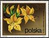 (1972-078) Марка Польша "Рододендрон"    Кустарниковые Цветы III Θ
