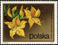 (1972-078) Марка Польша "Рододендрон"    Кустарниковые Цветы III Θ