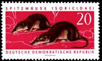 (1962-003) Марка Германия (ГДР) "Обыкновенная бурозубка"    Охраняемые животные II Θ