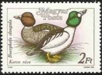 (1988-033) Марка Венгрия "Обыкновенный гоголь"    Дикие утки II Θ