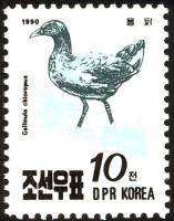 (1990-088) Марка Северная Корея "Камышница"   Птицы III Θ