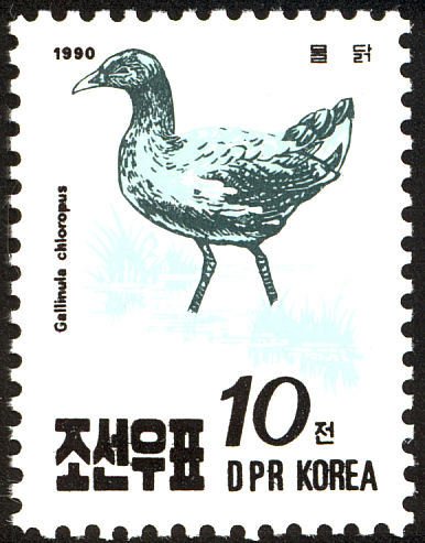 (1990-088) Марка Северная Корея &quot;Камышница&quot;   Птицы III Θ