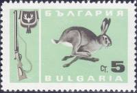 (1967-004) Марка Болгария "Заяц-русак"   Охота III O