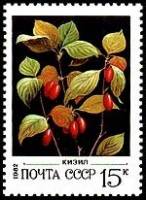 1982-020 Марка СССР Кизил  Дикорастущие ягоды III O