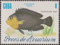 (1985-058) Марка Куба "Карликовая рыба-ангел"    Рыбы II Θ