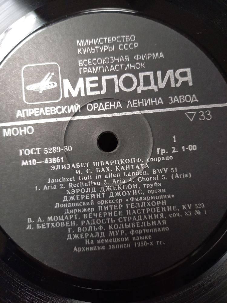 Пластинка виниловая , Исполнительское искусство Мелодия 300 мм. (Сост. на фото)