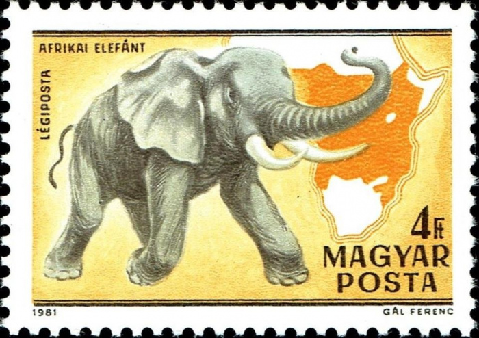 (1981-008) Марка Венгрия &quot;Африканский слон &quot;    100 лет со дня рождения Каймана Киттенбергера. Фауна