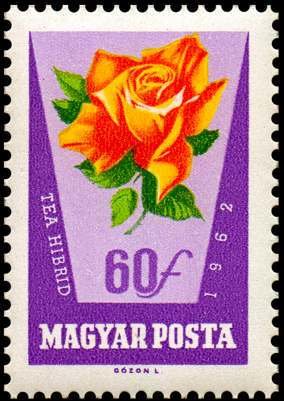 (1962-044) Марка Венгрия "Красно-желтая роза"    Розы II &Theta;