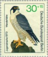 (1973-006) Марка Германия (ФРГ) "Сапсан"    Хищные птицы III O