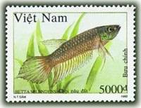 (1992-098) Марка Вьетнам "Темно-коричневая"    Сиамские бойцовые рыбы III O