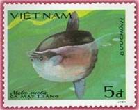 (1984-041) Марка Вьетнам "Рыба-луна"    Рыбы III Θ