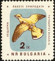 (1961-028) Марка Болгария "Рябчик"   Охрана природы. Птицы II Θ