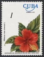 (1977-029) Марка Куба "Гибискус китайский"    Цветы III Θ