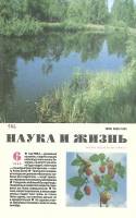 Журнал "Наука и жизнь" 1996 № 6 Москва Мягкая обл. 160 с. С ч/б илл