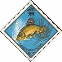 (1975-046) Марка Монголия "Линь "    Промысловые рыбы III Θ