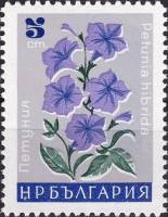 (1966-098) Марка Болгария "Петуния"   Садовые цветы III Θ