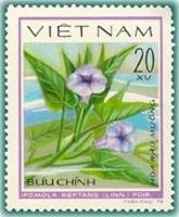 (1980-007a) Марка Вьетнам "Ипомея водяная"  Без перфорации  Водяные цветы III Θ