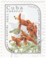 (1986-012) Марка Куба "Текома капская"    Экзотические цветы III Θ