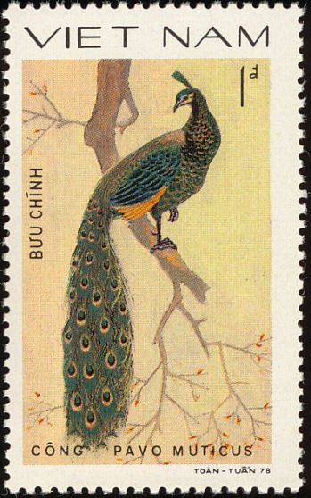 (1979-045a) Марка Вьетнам &quot;Зелёный павлин&quot;  Без перфорации  Птицы III Θ