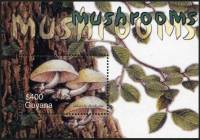 (№2003-762) Блок марок Гайана 2003 год "Volvariella bombycina", Гашеный
