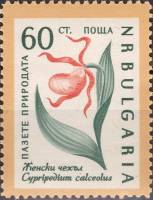 (1960-030) Марка Болгария "Венерин башмачок"   Охрана природы. Цветы I Θ