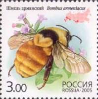 2005-043 Марка Россия Шмель армянский  Фауна. Насекомые: шмели III O