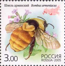 2005-043 Марка Россия Шмель армянский  Фауна. Насекомые: шмели III O
