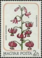 (1985-059) Марка Венгрия "Лилия кудреватая"    Цветы Лилии II Θ
