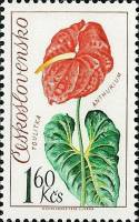 1973-033 Марка Чехословакия Антуриум   Выставка цветов II Θ