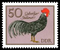 (1979-012) Марка Германия (ГДР) "Полосатый Итальянский"    Домашняя птица III Θ