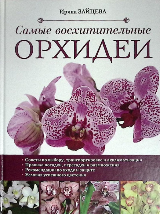 Книга Орхидеи 2015 И. Зайцева Москва Твёрдая обл. 96 с. С цв илл