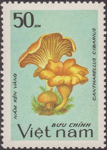 (1983-090a) Марка Вьетнам "Лисичка обыкновенная"  Без перфорации  Грибы III &Theta;