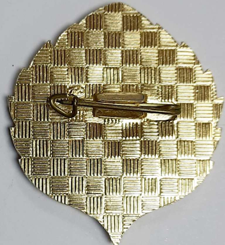 Значок Знак СССР "ПО Сортавала, 1924-74гг., ЛДМ" На булавке 